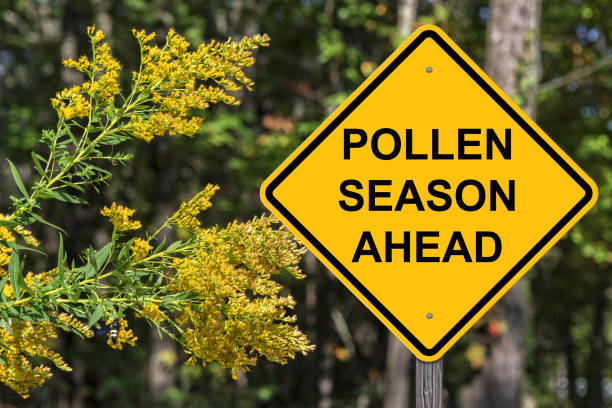 What Does Pollen Alert Mean In Spanish